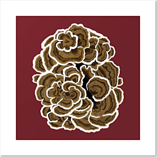 Turkeytail Mushroom Posters and Art